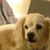 Conrad Allan Shepard's profile image