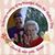 Donald Paukner's profile image