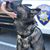 Julie Baldwin's profile image