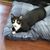 Paula Buettner Hux Gage's profile image