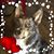 Stephanie S. Scott's profile image