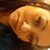 Patricia Williams's profile image