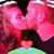 Chris Miller's profile image