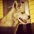 Jeremy Dorko's profile image
