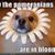 Gina Peterson Peach's profile image