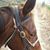 Emmily Holt's profile image