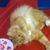 Gail Wernecke's profile image