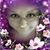 Sue Ellen Wooten's profile image