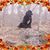 Robert Gerri's profile image