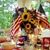 Joanie Darwin Brown's profile image