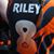 Dorina Riley's profile image