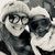 Tiffany Tracy's profile image