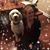 Peggy McLean Spittler's profile image