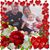 Jane Dunlop's profile image