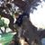 Jayme Loomer's profile image