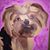 Michelle S Clark's profile image