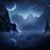 Sharon LovesEagles's profile image