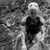 Jeanette Samek's profile image