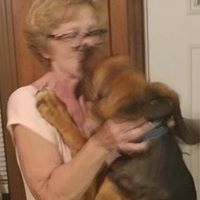 Karin Butler's profile image