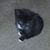 Shirley Jones Leonard's profile image