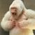 Jose Freyre's profile image