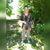 Roston Jorge's profile image