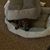 Donna Jackson's profile image