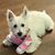 Michelle Emily Finocchio's profile image