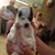 Go'Er Housen Mcfarland-Saleen's profile image