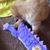 Aaron Nelson Rambel's profile image