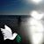 Julie Higgins's profile image