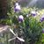 Susana Velasquez's profile image