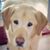 Tanner John's profile image