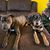 Brandy Spivey's profile image