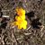 Diane Lindbloom's profile image
