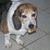 Sharon Rothgeb Viets's profile image