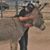 Skeeter Peak's profile image