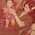 Silvana Isabel's profile image