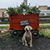Tina Swartz Lindner's profile image