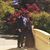 Sana N Changezi's profile image