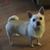 Cyndi Hampson's profile image