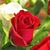 Maravilla Cuautle's profile image