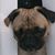 Dawn Coats's profile image