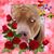 Shirley Brown's profile image