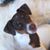 Leila Eckre's profile image