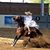 Johanna Flores Villegas's profile image