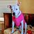 Jennifer Campbell's profile image