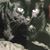 Jeanne Cain's profile image