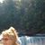 Kim Hobbs's profile image
