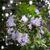 Louisa Spencer's profile image